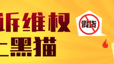 奇才队逆境求生PA真人对比：浓眉缺席，超越失去特雷杨的挑战